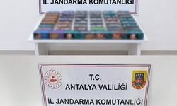 Alanya’da kaçak tütün operasyonu