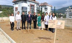 Alanya zeytin fidanları minik ellerle toprakla buluşuyor