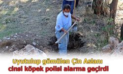 Çukurdan üzerine kireç dökülmüş köpek leşi çıktı