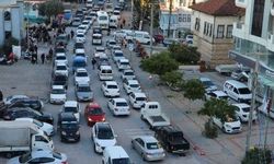 Antalya ve Alanya'da kabus! Artık dayanılmaz halde