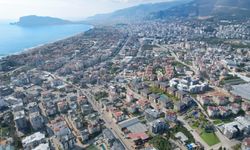 Alanya'da bu mahalleler onların istilası altında!