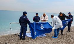 Antalya'nın ünlü sahilinde korkunç olay! Yarı çıplak ceset bulundu