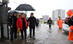 Antalya'da botlarla kurtarılıyorlar! Böcek felaketin içinde