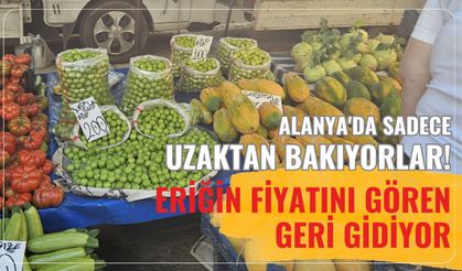 Alanya'da sadece uzaktan bakıyorlar! Eriğin fiyatını gören geri gidiyor