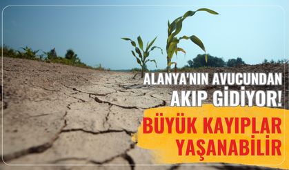 Alanya'nın avucundan akıp gidiyor! Büyük kayıplar yaşanabilir