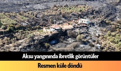 Aksu ormanlık alan küle döndü: Acı görüntüler ortaya çıktı
