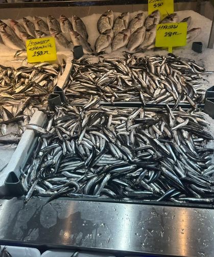 Antalya ve Alanya'da palamut, hamsi ve istavrit yiyenler... İncelendi, hepsinde tespit edildi