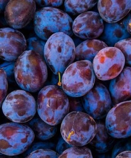 Mor eriğin üzerindeki beyaz lekeler nedir, zararlı mı?