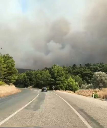Muğla ve Antalya'da orman yangını! Alevlere havadan ve karadan müdahale