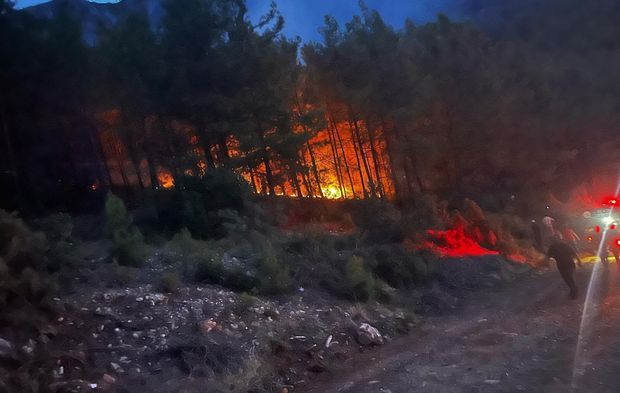 Alanya'da orman yangını: Ekipler canla başla mücadele etti