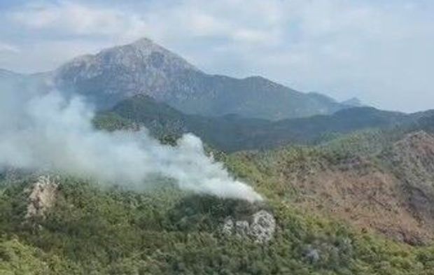 Antalya'da orman yangını söndürüldü