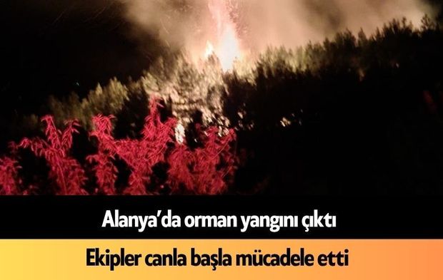 Alanya’da çıkan orman yangını söndürüldü