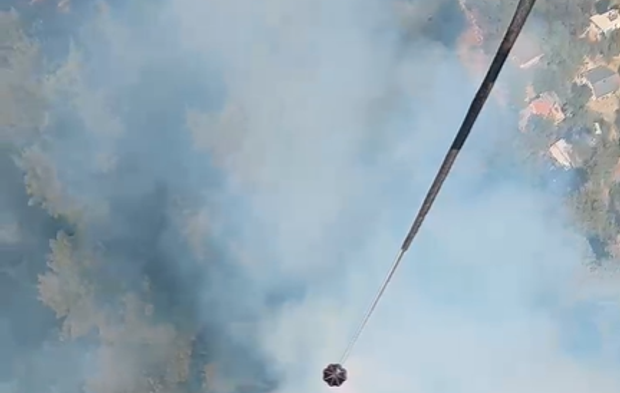 Son Dakika! Alanya Tepe Mahallesi'nde ormanlık alanda yangın çıktı