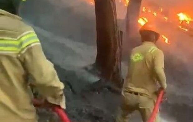 Antalya'da orman yangını! Ekiplerden tam teyakkuz