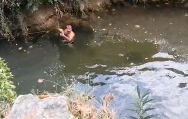 Derede mahsur kalan kaplumbağayı yüzerek kurtardı