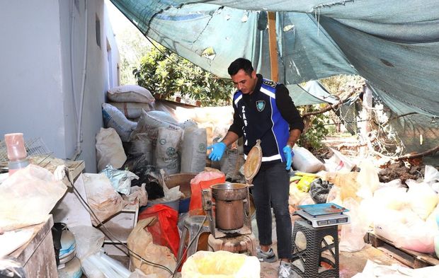 Antalya'da merdiven altı işletmeye denetim: Yarım ton keçiboynuzuna el konuldu