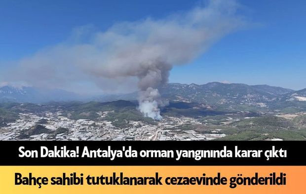 Kızılcahamam-Çerkeş sınırında orman yangını! Ekipler müdahaleye başladı