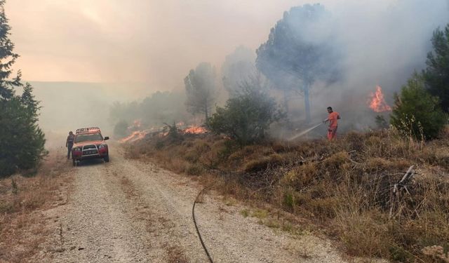 Çanakkale’de korkutan orman yangını: Büyük panik yaşandı