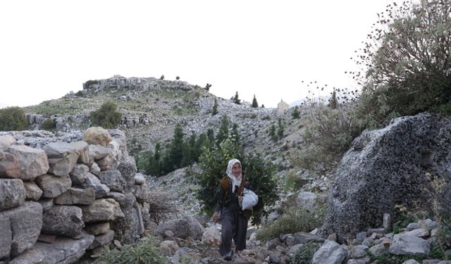 Antalya'da antik kentin çobanı... 45 yıllık çoban Yörük Fatma