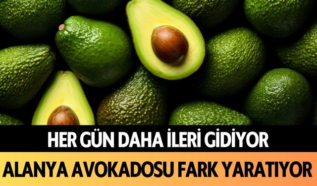 Alanya avokadosu fark yaratıyor