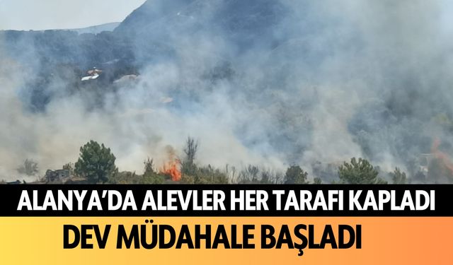 Alanya'da dumanlar her tarafı kapladı: Dev müdahale başladı