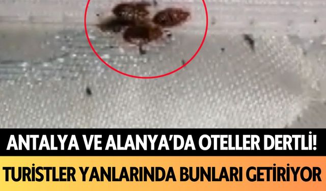 Antalya ve Alanya'da oteller dertli! Turistler yanlarında bunları getiriyor