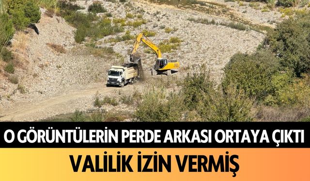 Alanya'da o görüntülerin perde arkası ortaya çıktı! Valilik izin vermiş