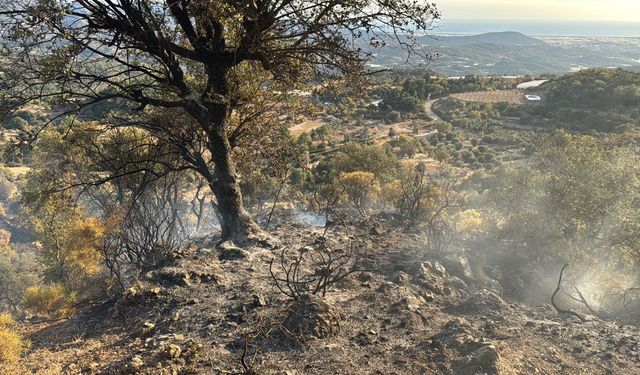 Antalya'da saatlerdir süren yangın kontrol altına alındı