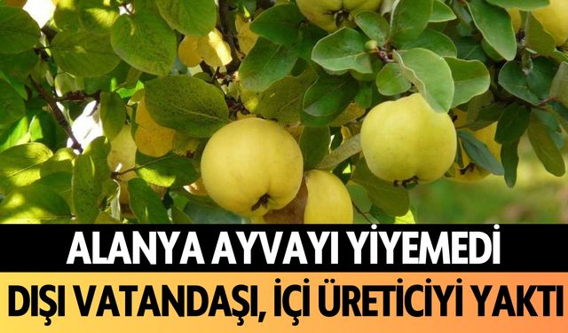 Alanya ayvayı yiyemedi! Dışı vatandaşı, içi üreticiyi yaktı