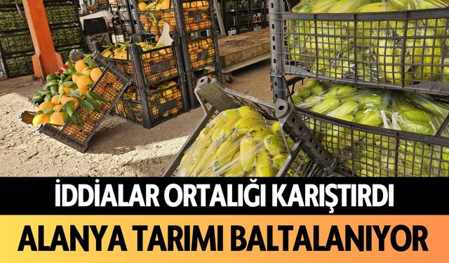 İddialar ortalığı karıştırdı: Alanya tarımı baltalanıyor!