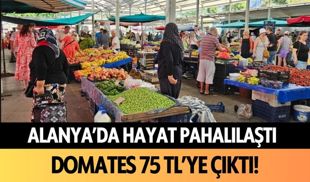 Alanya'da hayat pahalılaştı: Domates 75 liraya çıktı!