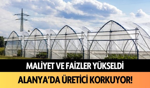 Alanya'da üretici korkuyor