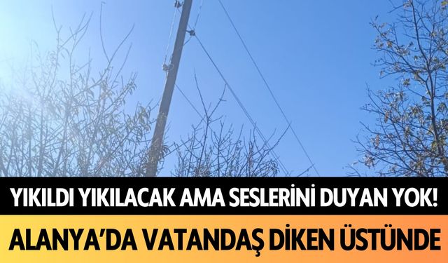 Yıkıldı yıkılacak ama Alanya'da seslerini duyan yok!  Diken üstündeler