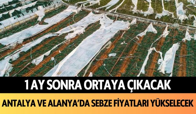 1 ay sonra ortaya çıkacak! Antalya ve Alanya'da sebze fiyatları yükselecek