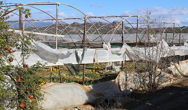 Antalya'da hasar tespit ediliyor! En çok zarar onlarda