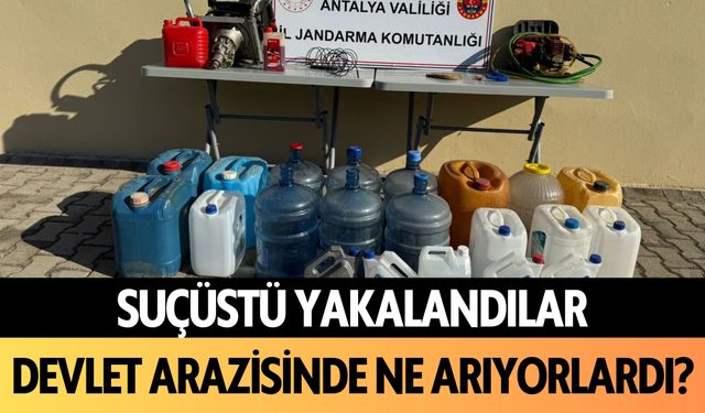 Suçüstü yakalandılar! Alanya'da devlet arazisinde ne arıyorlardı?