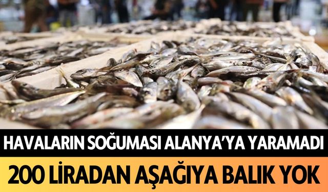 Havaların soğuması Alanya'ya yaramadı: 200 liradan aşağıya balık yok!