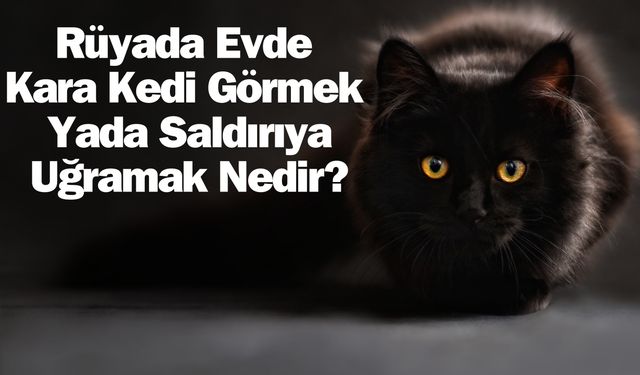 Rüyada Evde Kara Kedi Görmek Yada Saldırıya Uğramak Nedir?