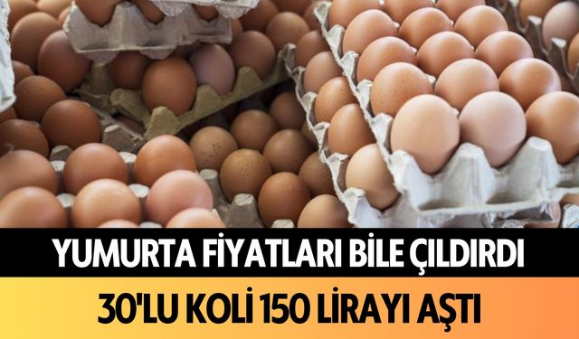 Yumurta fiyatları bile çıldırdı: Alanya'da 30'lu koli 150 lirayı aştı