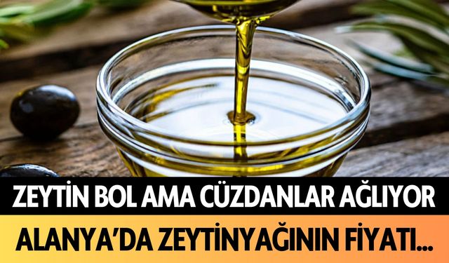 Zeytin bol ama cüzdanlar ağlıyor! Alanya'da zeytinyağının fiyatı...