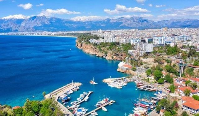 Antalya'da bitkin halde bulunmuştu... Doğal ortamına geri döndü