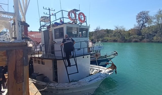 Manavgat'ta kamelyanın demirlerinde asılı bulundu