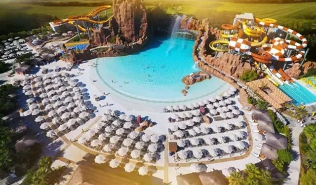 Antalya'da ağaçların kesilmesi önlenecek!