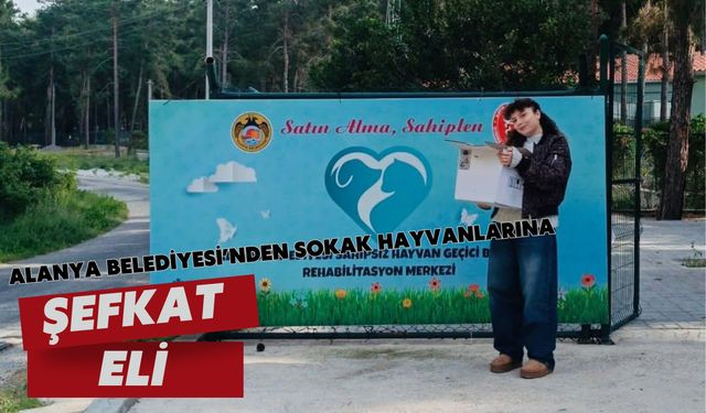 Alanya Belediyesi’nden sokak hayvanlarına şefkat eli