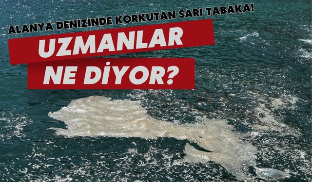 Alanya denizinde korkutan sarı tabaka: Uzmanlar ne diyor?