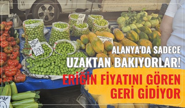 Alanya'da sadece uzaktan bakıyorlar! Eriğin fiyatını gören geri gidiyor
