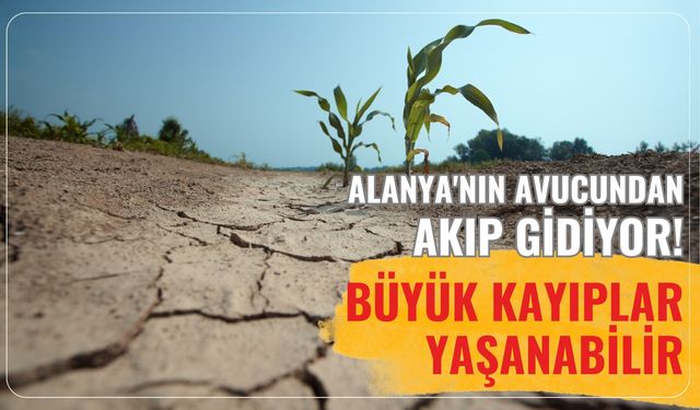 Alanya'nın avucundan akıp gidiyor! Büyük kayıplar yaşanabilir