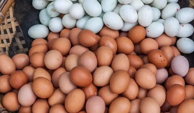 Raflarda artık göremeyeceksiniz: O yumurtalar kaldırılıyor