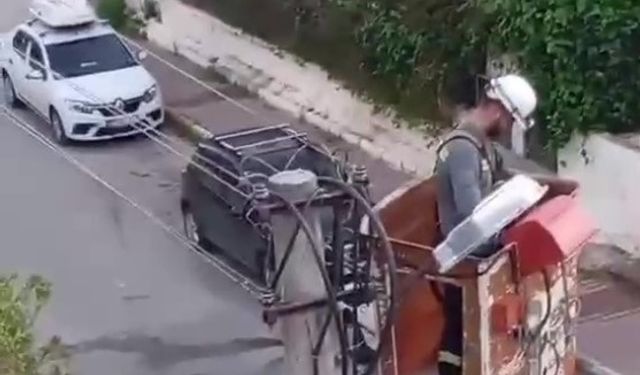 Antalya'da elektrik teline takılan kumru için operasyon