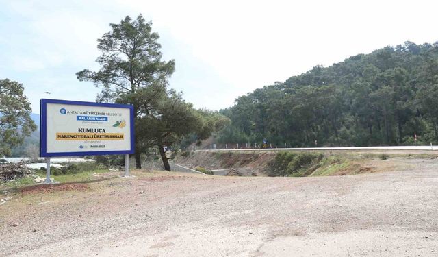 Antalya narenciye balı coğrafi tescil yolunda
